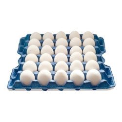 Egg White Medium 30 pcs