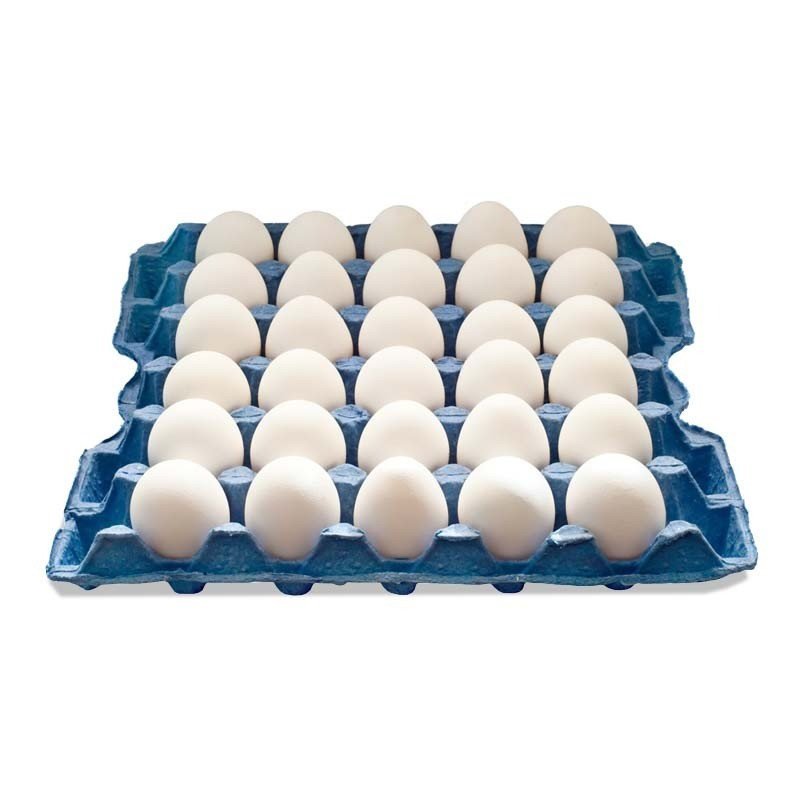 Egg White Medium 30 pcs