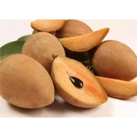 Sapota (Chikoo) - 2kg