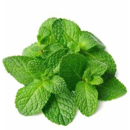 Mint Leaf (Bundle)