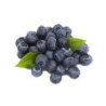 Blueberry