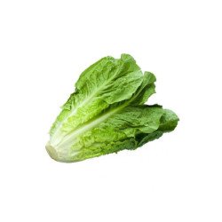 Lettuce (Box)
