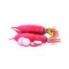 Radish Red (Dozen)