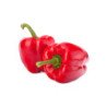 Capsicum (Red)