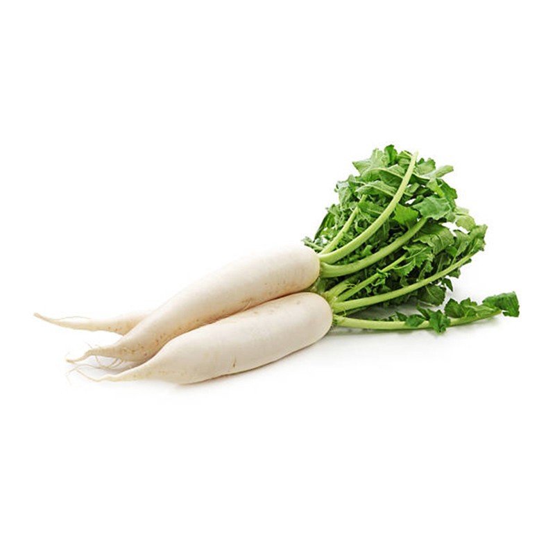 Radish White (Box)