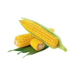 Sweet Corn